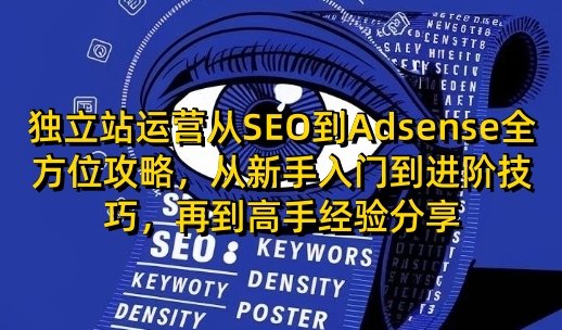 独立站运营从SEO到Adsense全方位攻略，从新手入门到进阶技巧，再到高手经验分享-秒懂