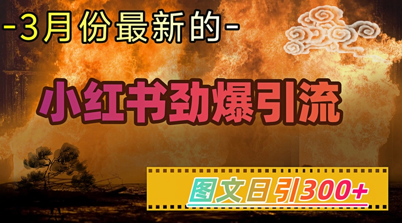 小红书超劲爆引流手段，图文日引300+轻松变现1W-秒懂