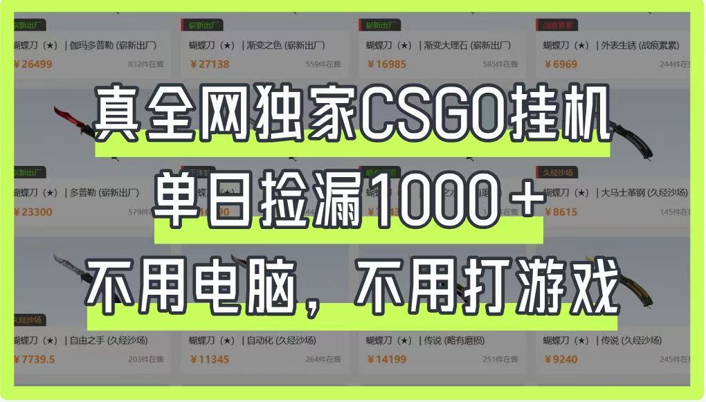 真全网独家CSGO挂机，单日捡漏1000+，不用电脑，不用养号-秒懂