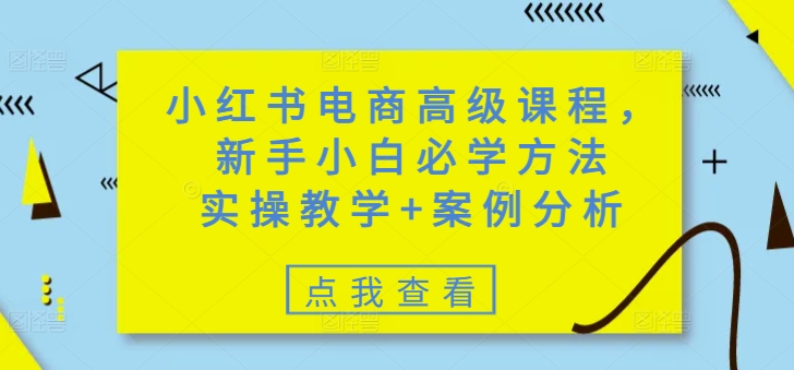 小红书电商高级课程，新手小白必学方法，实操教学+案例分析-秒懂