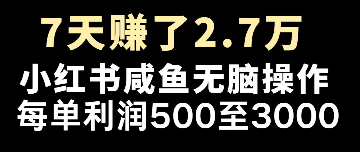 最赚钱项目之一，2025爆火，逆风翻盘！-秒懂