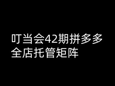 叮当会拼多多打爆班原创高阶技术第42期，拼多多全店托管矩阵-秒懂