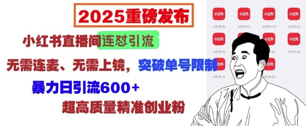 2025重磅发布：小红书直播间连怼引流，无需连麦、无需上镜，突破单号限制，暴力日引流600+-秒懂
