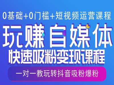 0基础+0门槛+短视频运营课程，玩赚自媒体快速吸粉变现课程，一对一教玩转抖音吸粉爆粉-秒懂