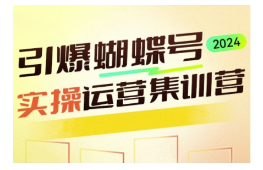 引爆蝴蝶号实操运营，助力你深度掌握蝴蝶号运营，实现高效实操，开启流量变现之路-秒懂