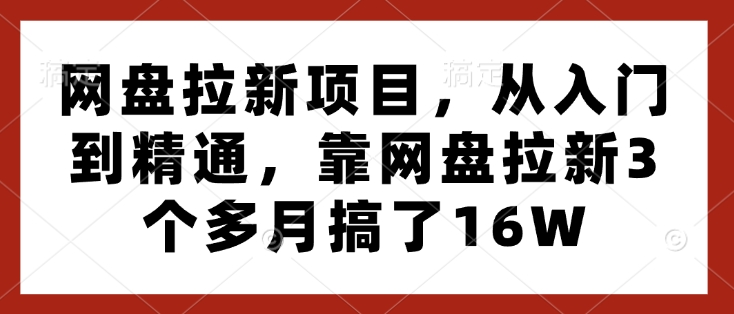 网盘拉新项目，从入门到精通，靠网盘拉新3个多月搞了16W-秒懂