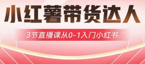 小红薯达人带货启航计划，3节直播课从0-1入门小红书-秒懂