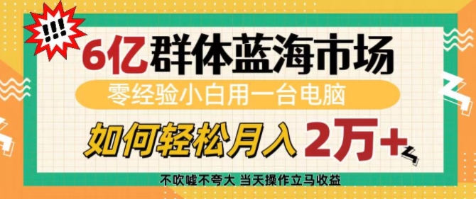 6亿群体蓝海市场，零经验小白用一台电脑，如何轻松月入过w【揭秘】-秒懂