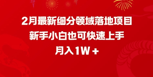 2月最新细分领域落地项目，新手小白也可快速上手，月入1W-秒懂