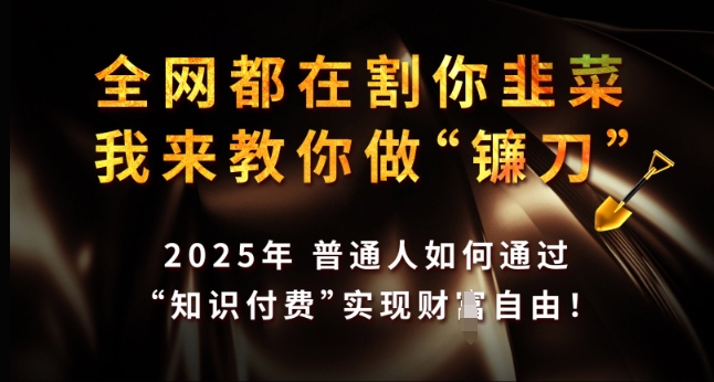 全网都在割你韭菜，我来教你做镰刀，2025年普通人如何通过 知识付费 实现财F自由【揭秘】-秒懂