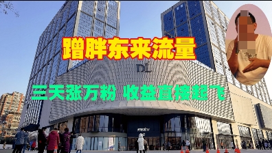 蹭胖东来流量，三天涨万粉，收益直接起飞-秒懂
