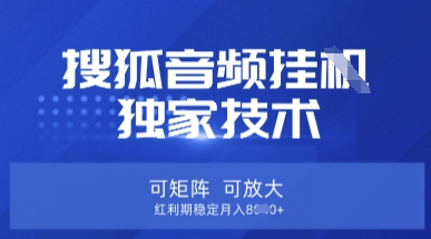 【搜狐音频挂G】独家技术，可矩阵可放大，红利期稳定月入8k【揭秘】-秒懂