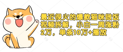 最近很火的爆款猫咪做饭视频拆解，小白一周涨粉2万，单条10万+播放(附保姆级教程)-秒懂