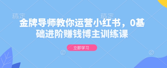 金牌导师教你运营小红书，0基础进阶赚钱博主训练课-秒懂