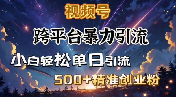 跨平台暴力引流，私域完美闭环，日引500+精准创业粉-秒懂