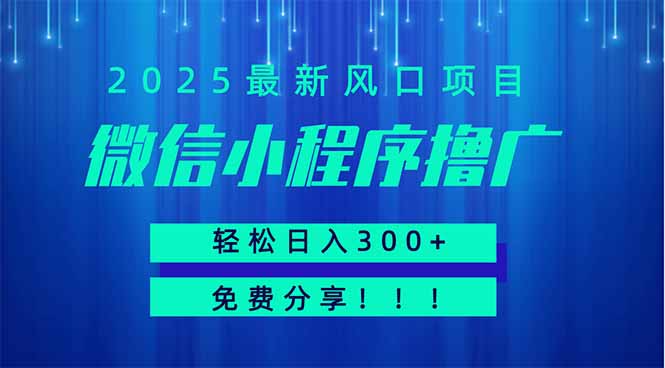 微信小程序撸广，最新风口项目，日入300+ 免费分享 可批量操作 小白可…-秒懂