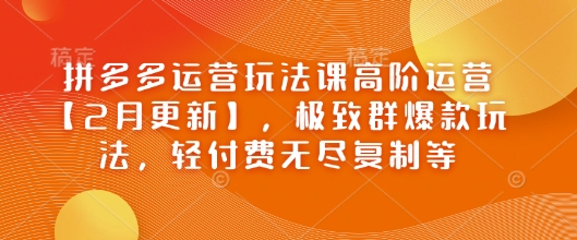 拼多多运营玩法课高阶运营【2月更新】，极致群爆款玩法，轻付费无尽复制等-秒懂