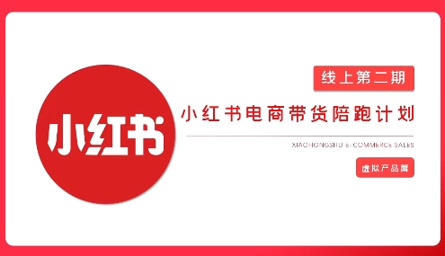 2025小红书虚拟电商实战课-秒懂