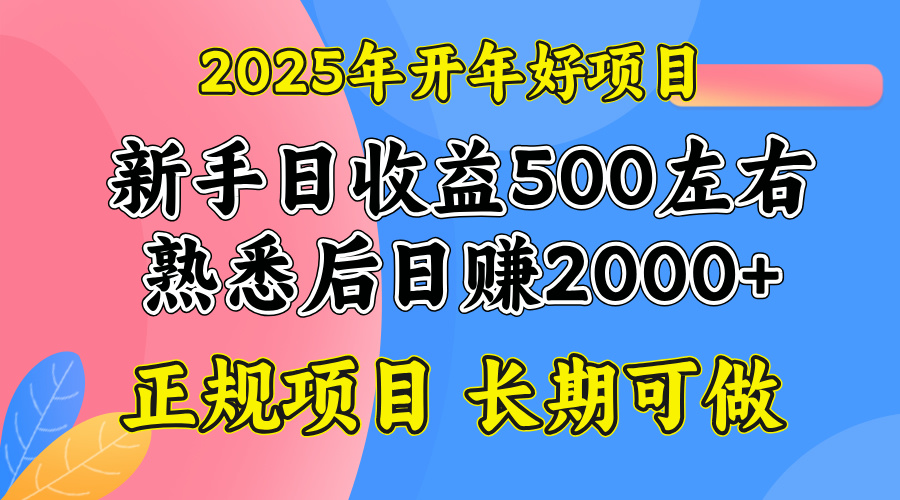 2025开年好项目，单号日收益2000左右-秒懂