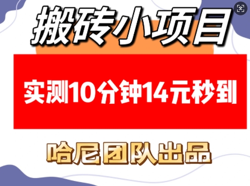 搬砖小项目，实测10分钟14元秒到，每天稳定几张(赠送必看稳定)-秒懂