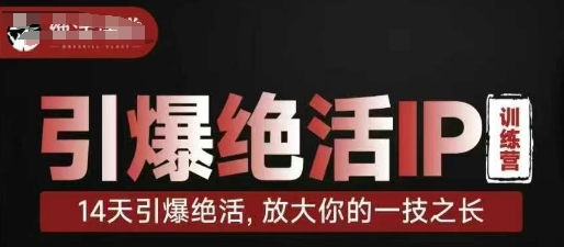 引爆绝活IP训练营，14天引爆绝活，放大你的一技之长-秒懂