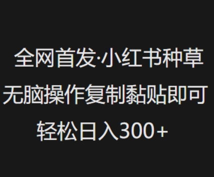 全网首发，小红书种草无脑操作，复制黏贴即可，轻松日入3张-秒懂
