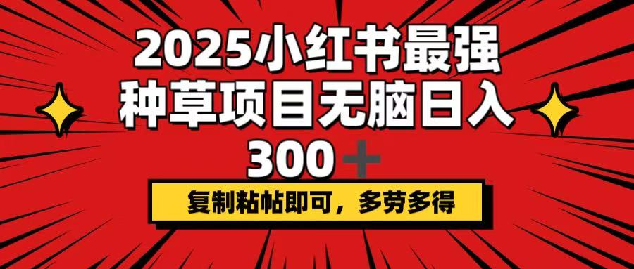 2025小红书最强种草项目，无脑日入300+，复制粘帖即可，多劳多得-秒懂