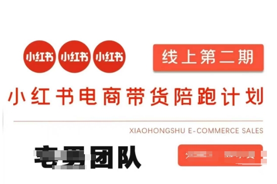小红书电商带货课2期，月利润20个的小红书电商的有货源，无货源，虚拟产品，付费投流等整套玩法-秒懂