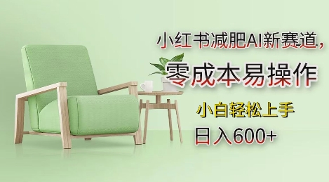 小红书减肥AI新赛道，零成本易操作，日入多张，小白轻松上手【揭秘】-秒懂