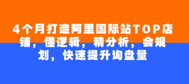 4个月打造阿里国际站TOP店铺，懂逻辑，精分析，会规划，快速提升询盘量-秒懂