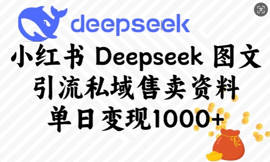 小红书Deepseek图文引流私域售卖资料，单日变现多张-秒懂