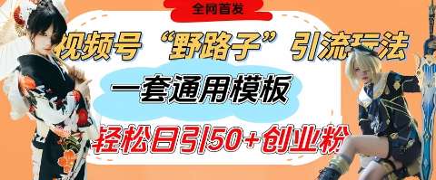 视频号“野路子”玩法，评论区疯狂截流，一套模板单日单号引流50+创业粉-秒懂