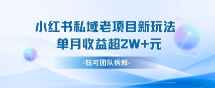 小红书私域项目新玩法，单月变现过W+-秒懂