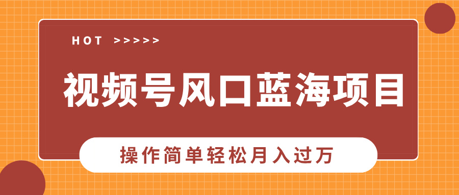 视频号风口蓝海项目，中老年人的流量密码，操作简单轻松月入过万-秒懂
