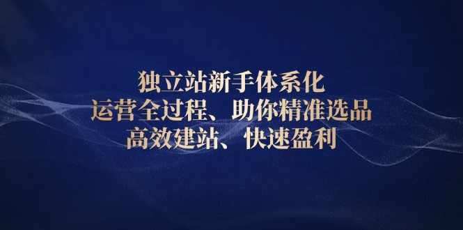 独立站新手体系化 运营全过程，助你精准选品、高效建站、快速盈利-秒懂