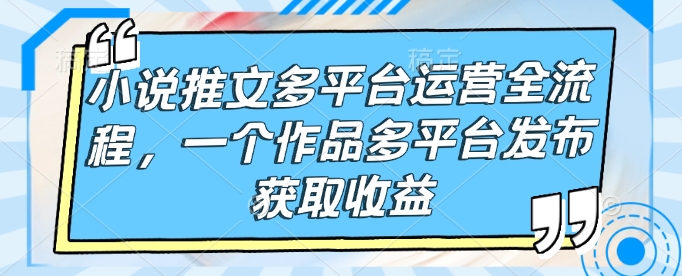 小说推文多平台运营全流程，一个作品多平台发布获取收益-秒懂