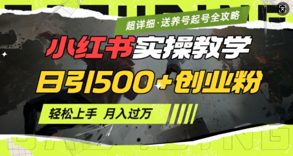 2月小红书最新日引500+创业粉实操教学【超详细】小白轻松上手，月入1W+，附小红书养号起号SOP-秒懂