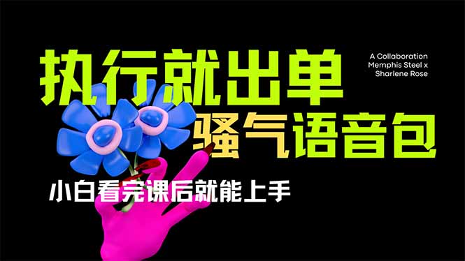 爆火全网的开车导航骚气语音包,只要执行就出单，小白看完课程就能实操…-秒懂